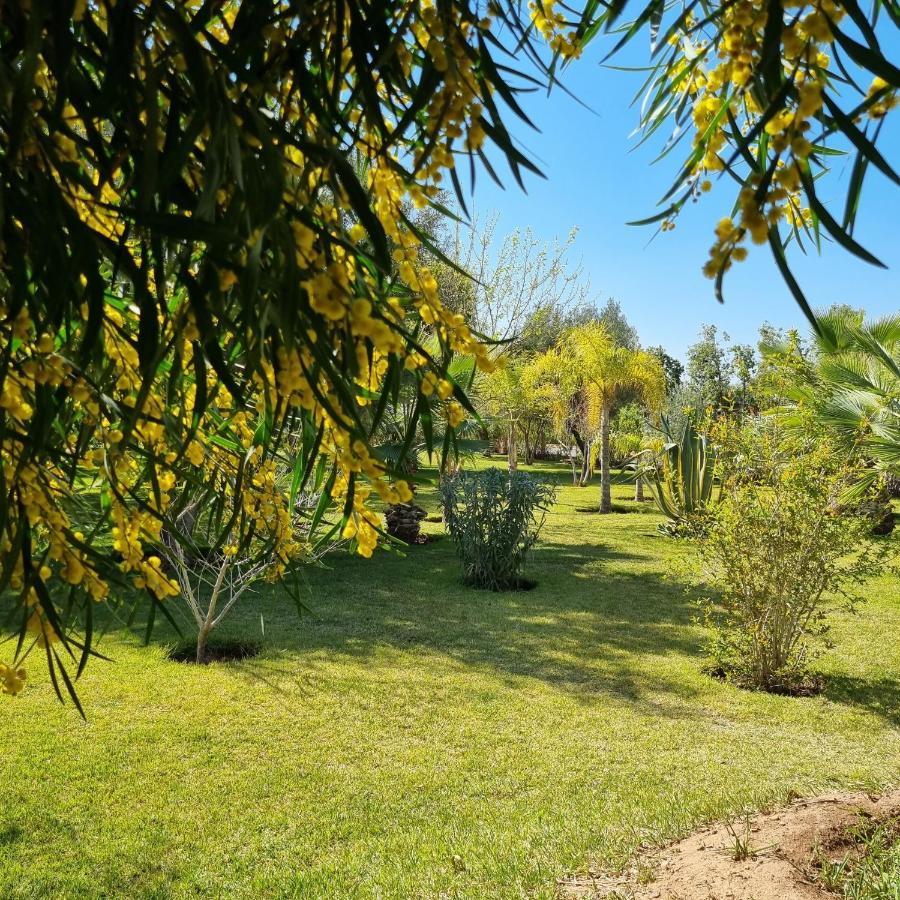 Riad Les Deux Citronniers Marakeş Dış mekan fotoğraf