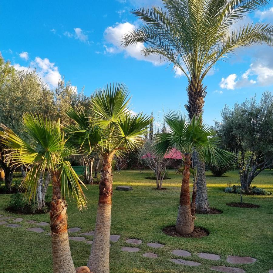 Riad Les Deux Citronniers Marakeş Dış mekan fotoğraf