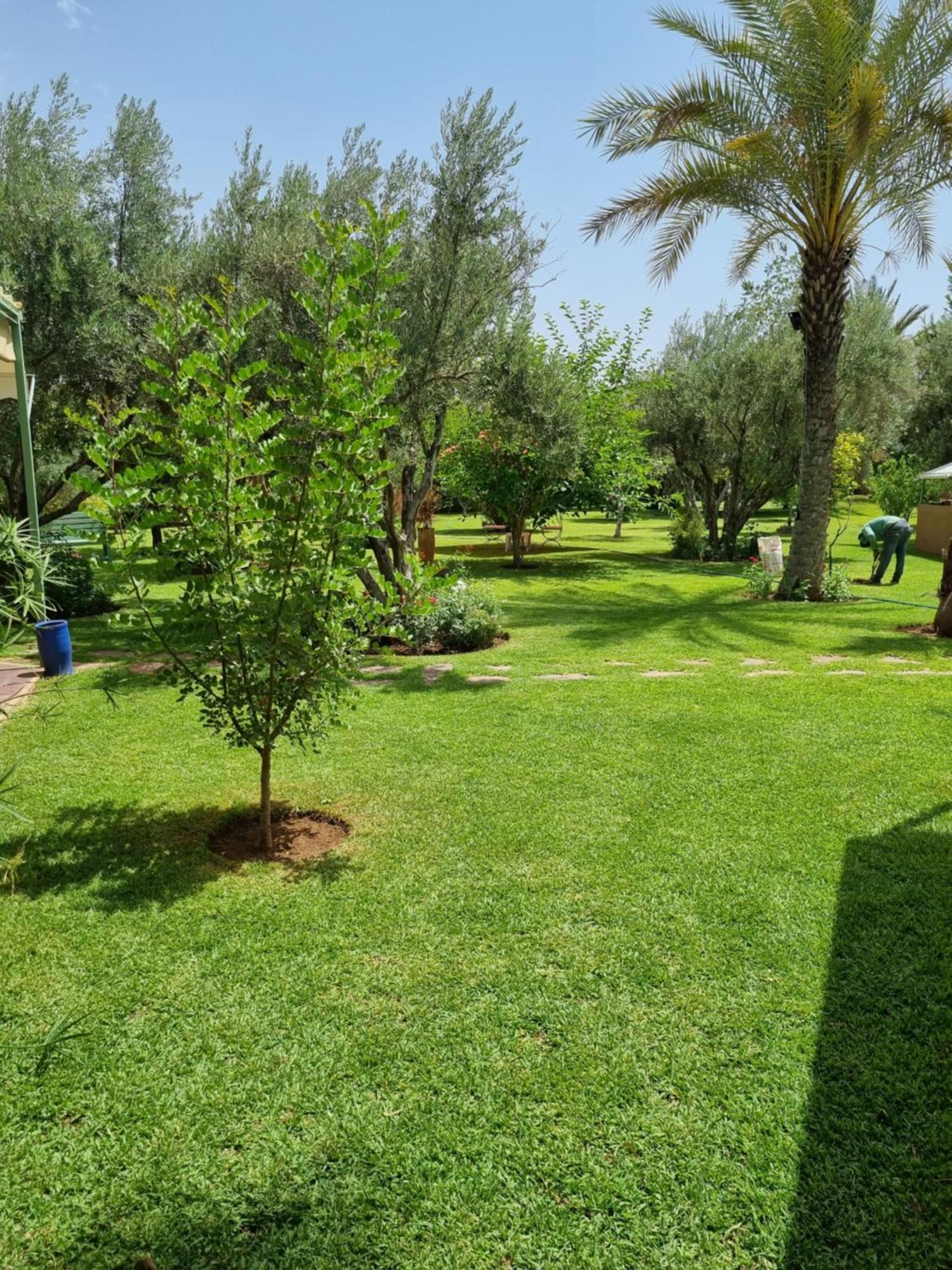 Riad Les Deux Citronniers Marakeş Oda fotoğraf